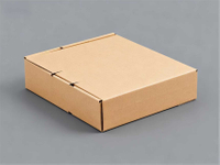 Paketbox